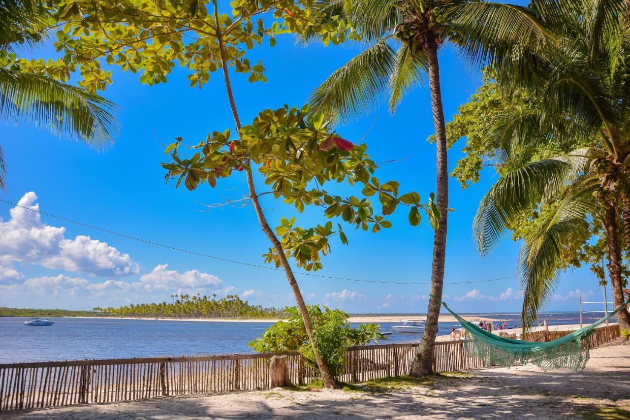 Pousada Vila Palma Boipeba Velha Boipeba Eksteriør billede