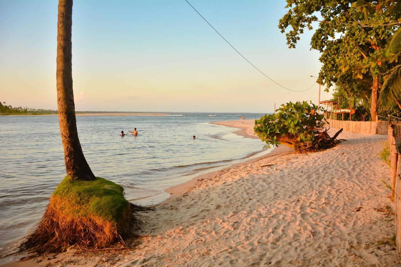 Pousada Vila Palma Boipeba Velha Boipeba Eksteriør billede